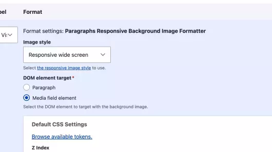 Paragraphs Responsive Background Images Formatter